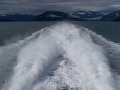 Alaska_Trip_20070816_029_26_Glacier_cruise